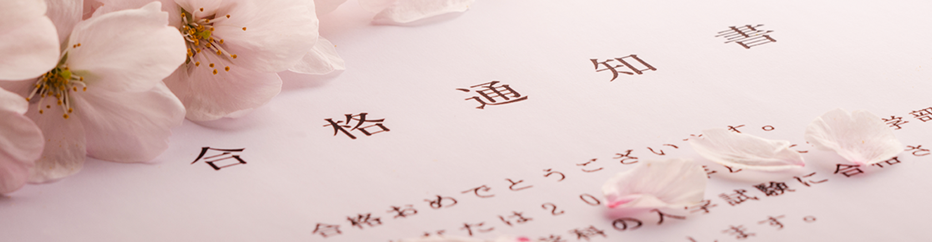 合格実績